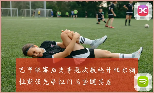 巴甲联赛历史夺冠次数统计帕尔梅拉斯领先弗拉门戈紧随其后