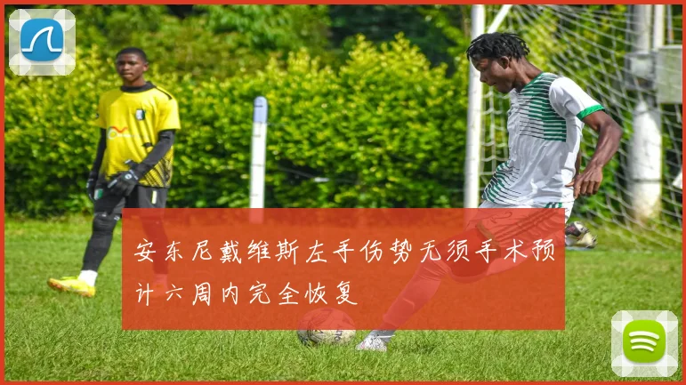 安东尼戴维斯左手伤势无须手术预计六周内完全恢复