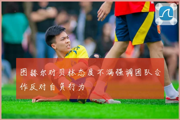 图赫尔对贝林态度不满强调团队合作反对自负行为