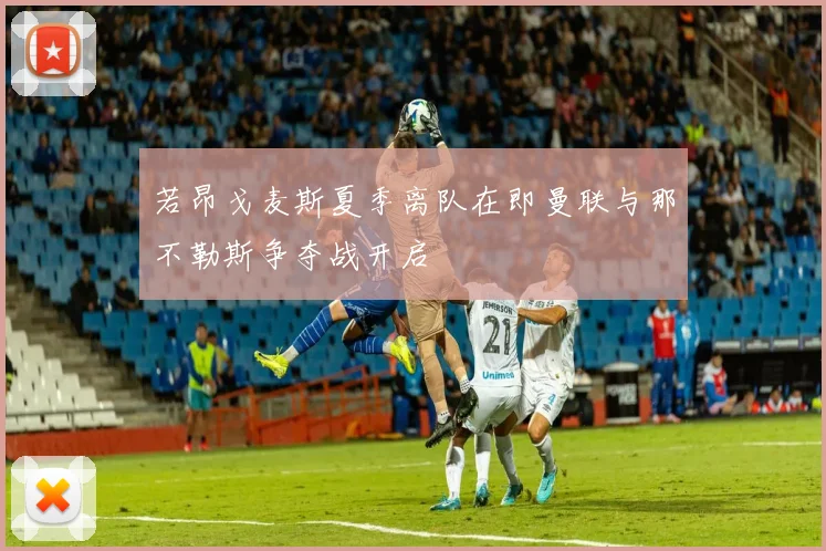 若昂戈麦斯夏季离队在即曼联与那不勒斯争夺战开启