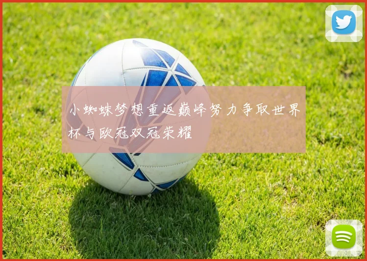 小蜘蛛梦想重返巅峰努力争取世界杯与欧冠双冠荣耀
