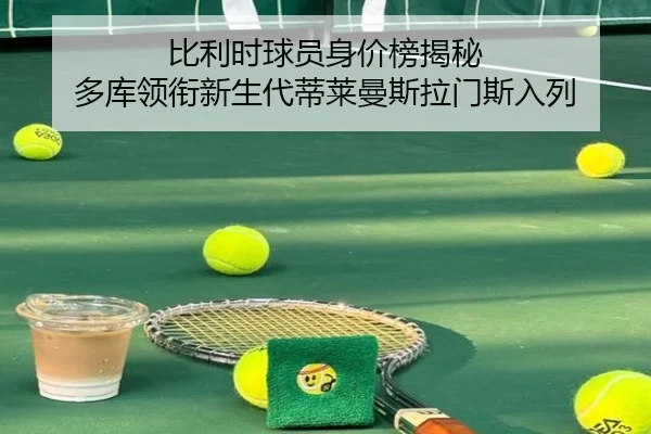 比利时球员身价榜揭秘 多库领衔新生代蒂莱曼斯拉门斯入列 | hth